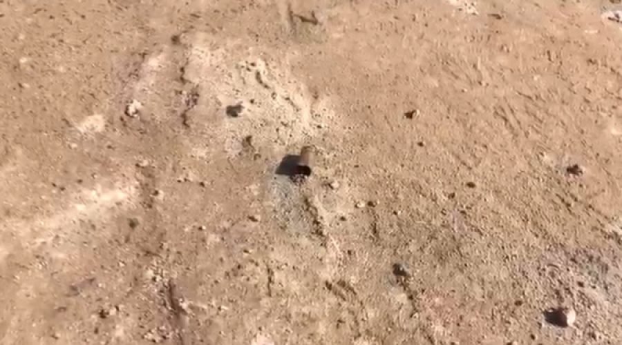 Ekumfi–Edumadze youth clash erupts in gunfire, acid attack